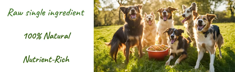 Natural Beef Trachea Bites - 60g - Azigma Collect raw single ingredient, 100% natural, nutrient-rich dog food in small and large sizes