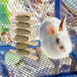 BESPORTBLE Rabbit Chew Snack for Teeth Parrots Biting Playthings Small Pet Chew Snack - product information 3