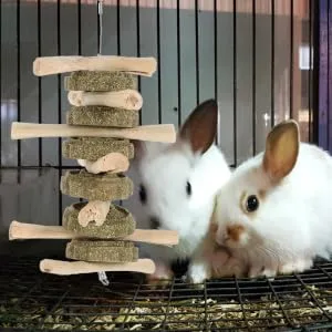 Levemolo Rabbit Biting Playthings Wooden Rabbit Chew Snack Animals Chewing Playthings - product information 3