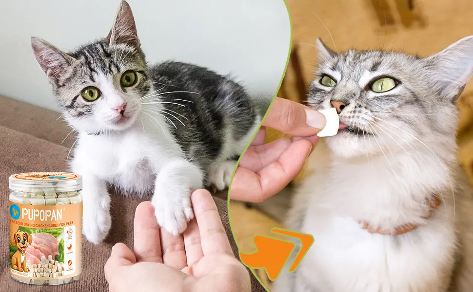 Freeze-Dried Chicken Cat Treats Chicken Cube Snacks for Pets Single Ingredient Chicken Dog Treat Bite-Sized Pieces - product information 5