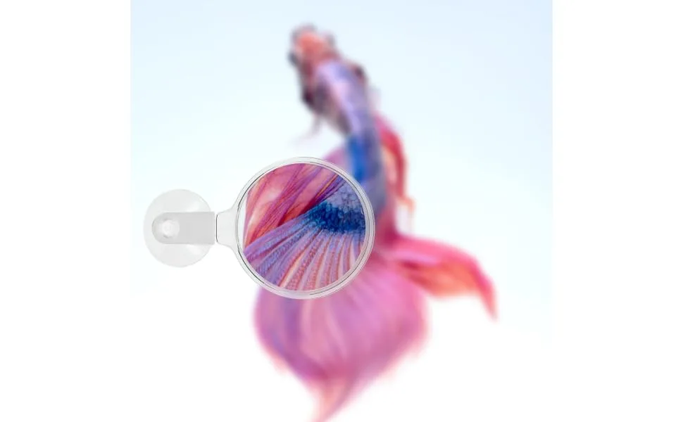 POPETPOP Aquarium Magnifier Acrylic Fish Tank Viewer Fish Tank Magnifying Glass Small Animal Magnifier with Suction 3.5cm - product information 2