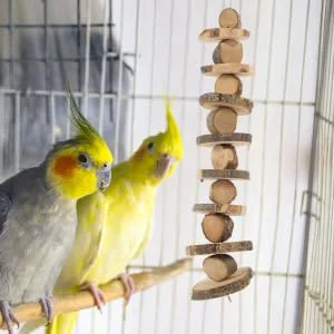 NOLITOY Parrot Snack Tooth Accessory Bite for Teeth Grinding Hammock Treat Blocks Hanging Wooden Chew - product information 4