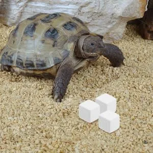 ORFOFE 12pcs Pet Mineral Hermit Crab Shells Cold Shipping Boxes White - product information 1