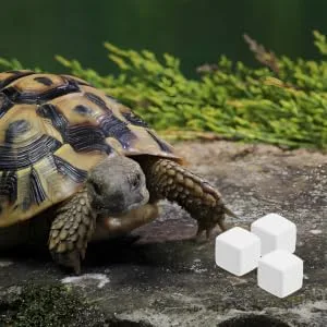 ORFOFE 12pcs Pet Mineral Hermit Crab Shells Cold Shipping Boxes White - product information 5