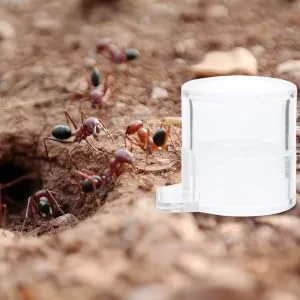 SEWOART 2pcs Ant Water Feeder Ants Ant Nest Water Feeder Ant Liquid Feeder Pet Waterer Transparent Acrylic - product information 1