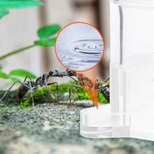 SEWOART 2pcs Ant Water Feeder Ants Ant Nest Water Feeder Ant Liquid Feeder Pet Waterer Transparent Acrylic - product information 4
