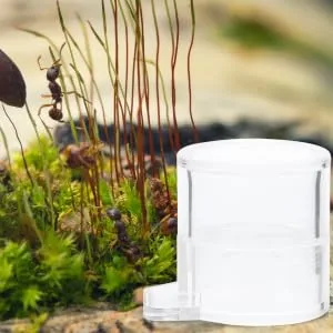 SEWOART 2pcs Ant Water Feeder Ants Ant Nest Water Feeder Ant Liquid Feeder Pet Waterer Transparent Acrylic - product information 5