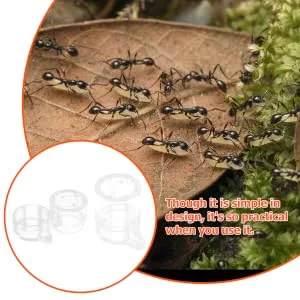 BELLIFFY 2pcs Ant Water Feeder Transparent Ant Water Feeding Bowl Ant Drinking Tool Mini Ant Feeder Acrylic - product information 1