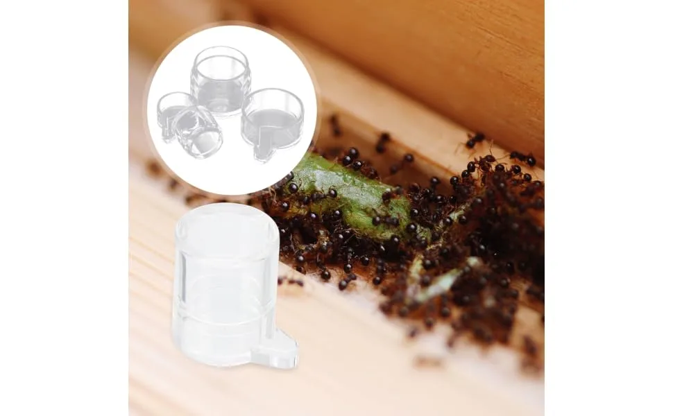 BESPORTBLE 2pcs Ant Water Feeder Mini Ant Feeder Ant Water Feeding Bowl Insect Water Feeder Transparent Acrylic - product information 1
