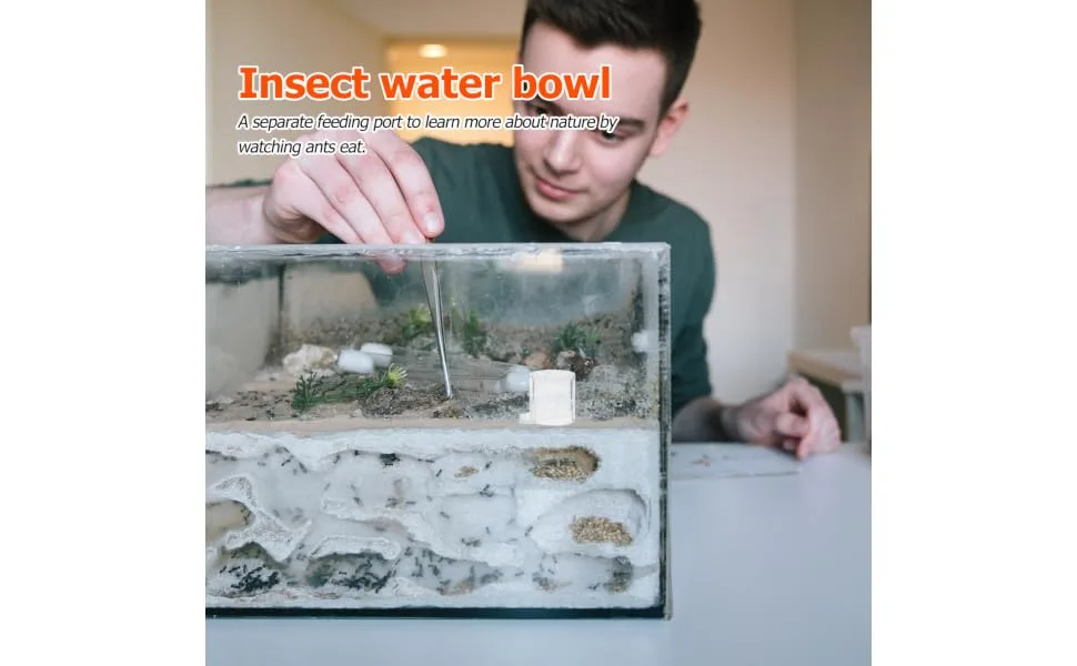 BESPORTBLE 2pcs Ant Water Feeder Mini Ant Feeder Ant Water Feeding Bowl Insect Water Feeder Transparent Acrylic - product information 4