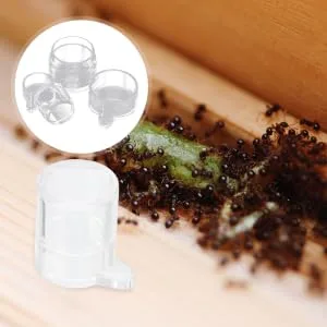 COLLBATH 2pcs Ant Water Feeder Ant Nest Water Feeding Area Ant Water Feeding Bowl Mini Animals Ants Acrylic - product information 1