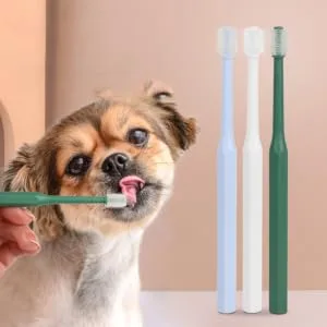 Didiseaon 2pcs Brush Lightweight Puppy Dogs Household Tool Handheld Teeth for Cleaning Head Portable Oral - product information 4