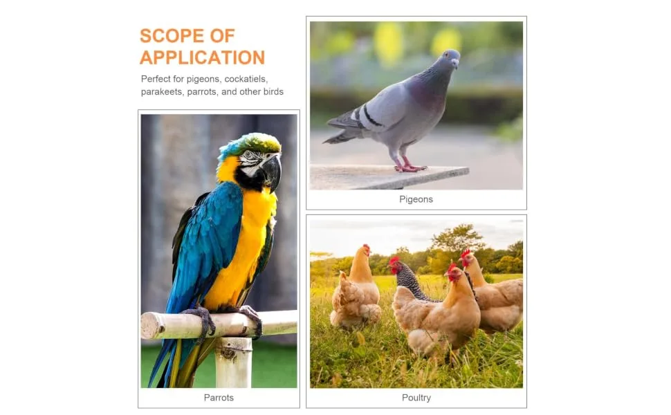 100 pcs Xuan Feet Charms Colorful Hen Leg Drumstick Number Products Stuff Identification Pigeons 1.3X1.3CM Orange - product information 5