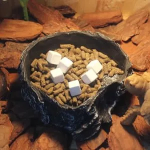 SEWACC 6pcs Reptile Blocks Fish Tank Substrate Natural Minerals Supplement Cubes for Turtles Reptiles - product information 2