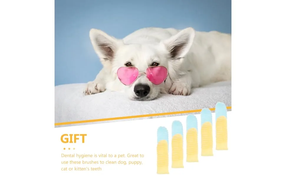 HAPINARY Pet Joy 10Pcs pet toothbrush chewable toothpaste on the go toothbrush single use Puppy Toothbrush - product information 7