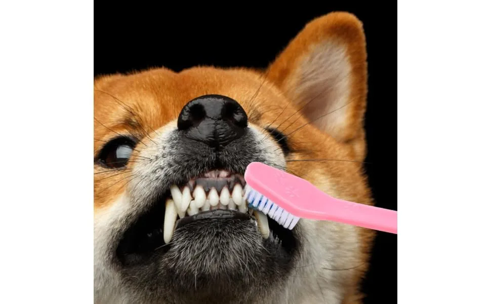 GRIRIW Puppy Toothbrush 12pcs Double Head Dog Toothbrush Doggie Toothpaste Cat Oral Toothbrush Handheld Pets Toothbrush Soft - product information 6