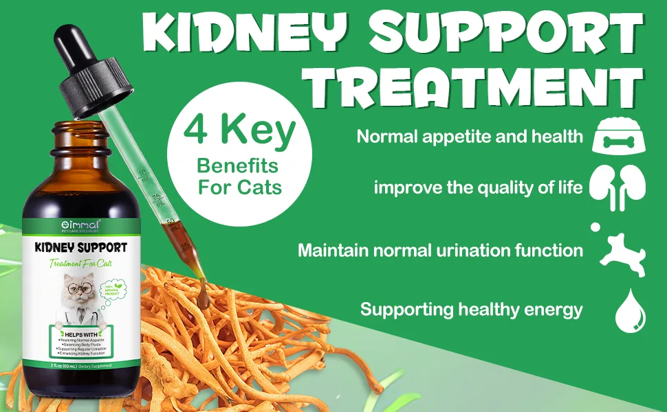 Kidney Support for Cats - Natural Supplement for Enhancing Kidney Function & Balancing Fluids - Restores Appetite & Promotes Regular Urination - 2.02fl oz - Kidney Support for Cats