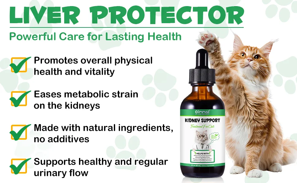 Kidney Support for Cats - Natural Supplement for Enhancing Kidney Function & Balancing Fluids - Restores Appetite & Promotes Regular Urination - 2.02fl oz - Kidney Support for Cats