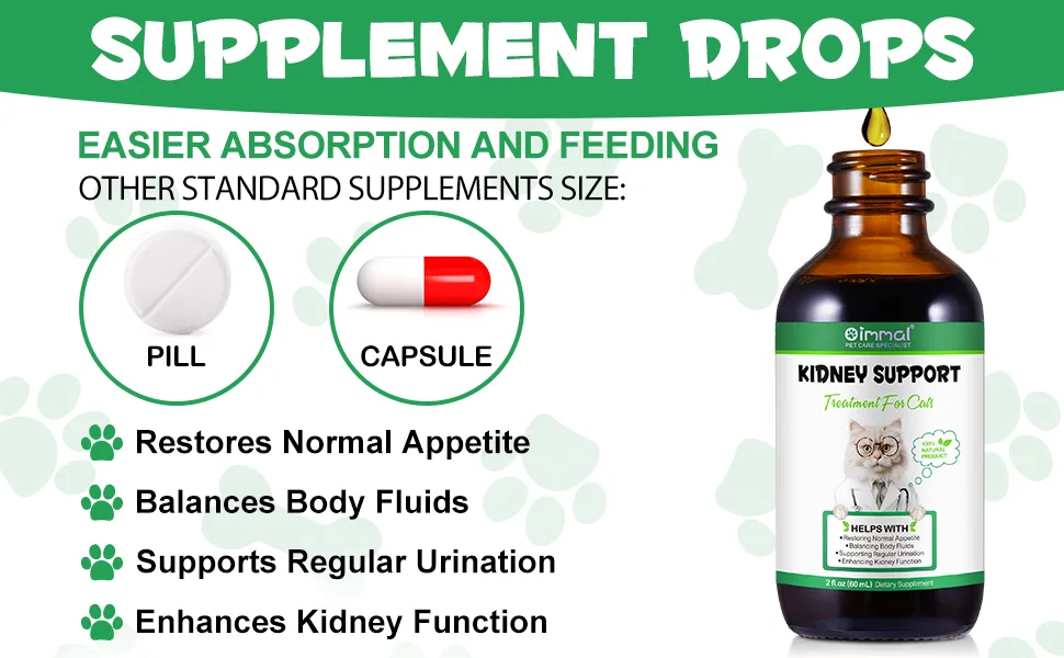 Kidney Support for Cats - Natural Supplement for Enhancing Kidney Function & Balancing Fluids - Restores Appetite & Promotes Regular Urination - 2.02fl oz - Kidney Support for Cats
