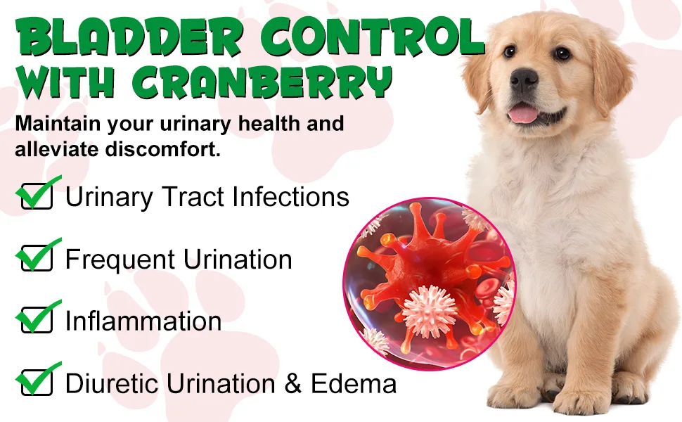 Urinary Support for Dogs - Natural Supplement for Kidney Stones Bladder Health & UTI Prevention - Promotes Urinary Function & Normal pH - 2.02fl oz - Urinary Support for Dogs