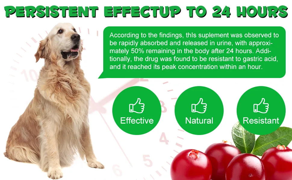 Urinary Support for Dogs - Natural Supplement for Kidney Stones Bladder Health & UTI Prevention - Promotes Urinary Function & Normal pH - 2.02fl oz - Urinary Support for Dogs
