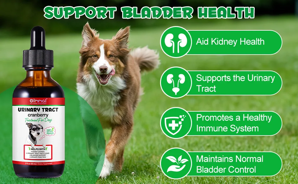 Urinary Support for Dogs - Natural Supplement for Kidney Stones Bladder Health & UTI Prevention - Promotes Urinary Function & Normal pH - 2.02fl oz - Urinary Support for Dogs