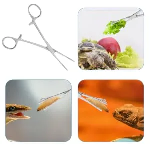 SEWOART Reptile Feeding Clip Lizard Stuff Reptile Tools Gecko Tool Stainless Steel Silver - product information 2