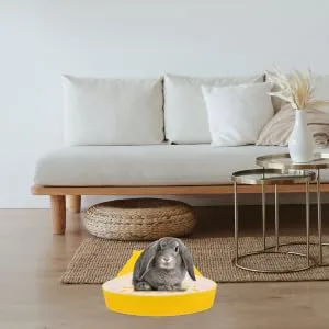 CIYODO Box Pet Potty Urinal Rabbit Toilet Rabbit Corner Pet Triangular Potty Bedding for Rabbits Abs White 24.5X18.5cm White - product information 1