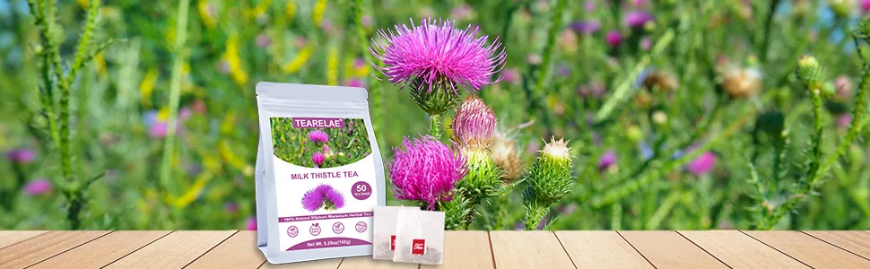 TEARELAE - Milk Thistle Tea - 50 Count - 100% Natural Milk Thistle Seeds Tea Bags - milk thistle tea