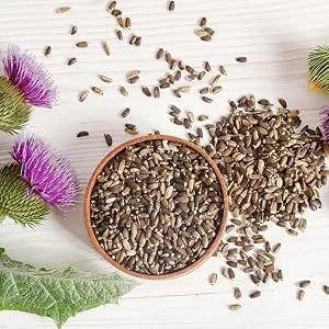 TEARELAE - Milk Thistle Tea - 50 Count - 100% Natural Milk Thistle Seeds Tea Bags - milk thistle tea