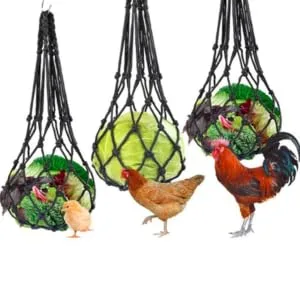 GRIRIW 2pcs String Feeding Supplies Black Hooks for Hanging Foraging Tool Chicken Hen Fruit Nylon - product information 2