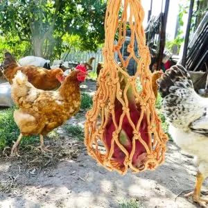 GRIRIW 2pcs String Feeding Supplies Black Hooks for Hanging Foraging Tool Chicken Hen Fruit Nylon - product information 4
