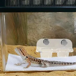 TOGEVAL 1 Set Magnetic Water Feeder Gecko Feeding Cups Reptile Feeding Cups Leaopard Tortoise Worm Acrylic - product information 3