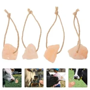 BESPORTBLE 4pcs Salt Add Elements Pet Salt Rabbit Salt Rabbit Licking Salt Mineral - product information 2