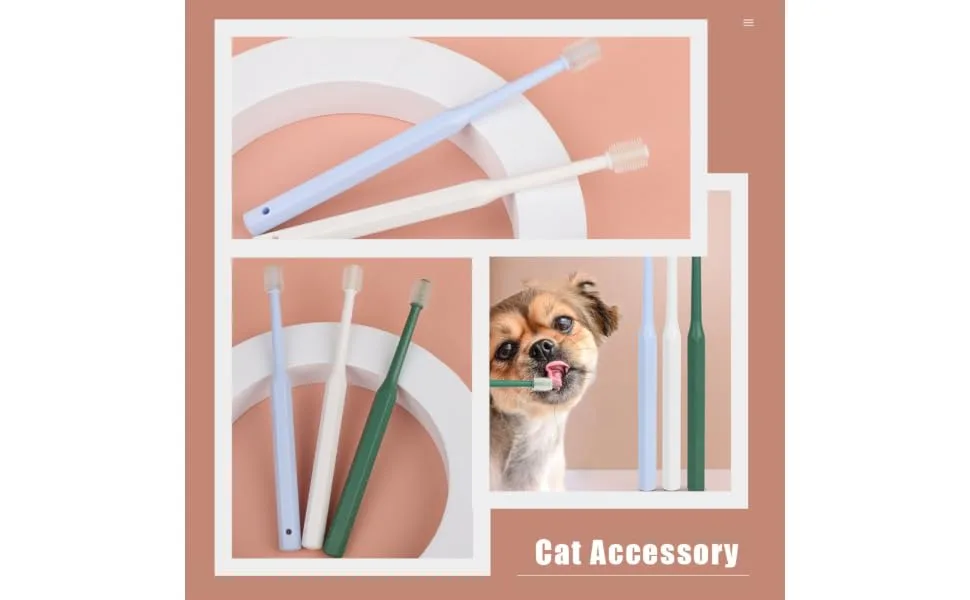 SEWOART 4pcs Toothbrush Plaque off Cats Cat Toothpaste and Brush Kit Kitten Supplies Pet Accessory Plastic - product information 1