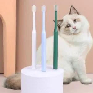 SEWOART 4pcs Toothbrush Plaque off Cats Cat Toothpaste and Brush Kit Kitten Supplies Pet Accessory Plastic - product information 6