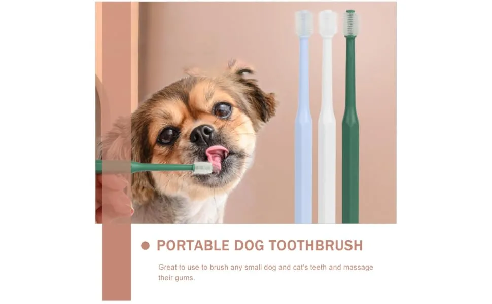 SEWOART 4pcs Toothbrush Plaque off Cats Cat Toothpaste and Brush Kit Kitten Supplies Pet Accessory Plastic - product information 7