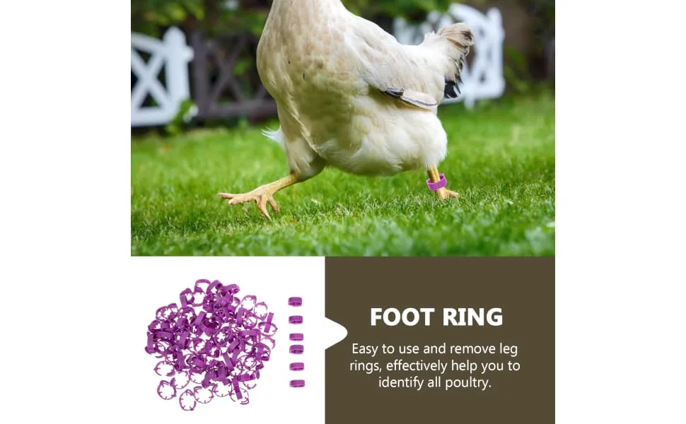 BUGUUYO 100pcs Chicken Leg Ring Chicken Thigh Poultry Identification Ring Chicken Drumsticks Plastic Purple - product information 5