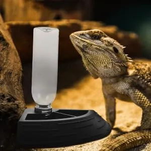 BUGUUYO Turtle Drinker Lizard Water Bowls Automatic Lizard Waterer Pet Food Feeder Reptile Reptisoil Plastic 17X17X3.5CM Black - product information 2
