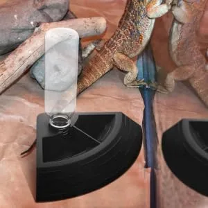 BUGUUYO Turtle Drinker Lizard Water Bowls Automatic Lizard Waterer Pet Food Feeder Reptile Reptisoil Plastic 17X17X3.5CM Black - product information 3