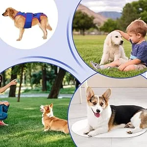 Small Dog Back Brace Spinal Support | Pet Support and Rehab Harness Soft Hip Leg Support D-Ring and Reflective Strips Back Protector Support Helps Hurt Relief Dogs Back - Effective Support