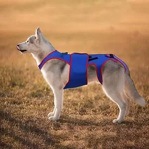 Small Dog Back Brace Spinal Support | Pet Support and Rehab Harness Soft Hip Leg Support D-Ring and Reflective Strips Back Protector Support Helps Hurt Relief Dogs Back - Posture Correction