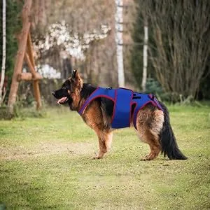 Small Dog Back Brace Spinal Support | Pet Support and Rehab Harness Soft Hip Leg Support D-Ring and Reflective Strips Back Protector Support Helps Hurt Relief Dogs Back - Posture Correction
