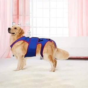 Small Dog Back Brace Spinal Support | Pet Support and Rehab Harness Soft Hip Leg Support D-Ring and Reflective Strips Back Protector Support Helps Hurt Relief Dogs Back - Promotes Spine Health