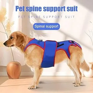 Small Dog Back Brace Spinal Support | Pet Support and Rehab Harness Soft Hip Leg Support D-Ring and Reflective Strips Back Protector Support Helps Hurt Relief Dogs Back - Secure Travel
