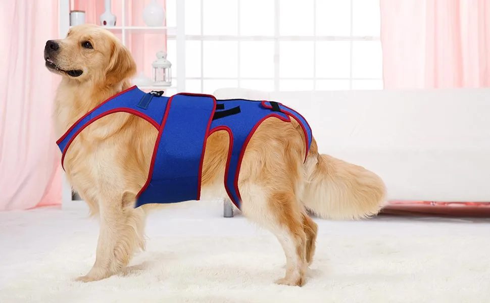 Hip Brace for Dogs - Pet Back Bracer for IVDD D-Ring and Reflective Strips Back Protector Support Helps Hurt Relief Dogs Back Xl - Dog Back Brace Support