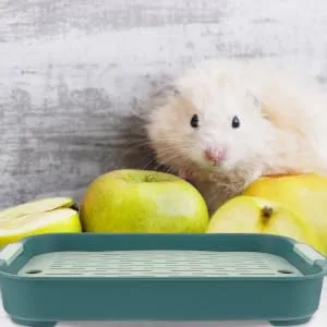 COLLBATH 2pcs Box Rabbit Toilet Cage Small Animal Litter Cage - Fall Bunny Potty Hamster Bedding Pp 27X18.8X4CM As Shown 3 - product information 2