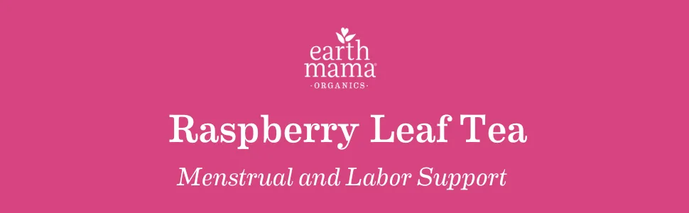 Earth Mama Organic Raspberry Leaf Tea Bags |Labor Tonic + Menstrual Support, 16 Teabags Per Box (3-Pack) Raspberry 16 Count (Pack of 3) - Earth Mama