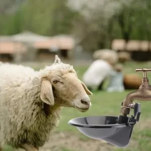Yardenfun Automatic Water Dispenser Water Feeder Sheep Feeder Water Feeding Artifact Cow Drink Feed Water - product information 3