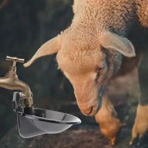 Yardenfun Automatic Water Dispenser Water Feeder Sheep Feeder Water Feeding Artifact Cow Drink Feed Water - product information 4